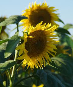 Тур в Башкирию