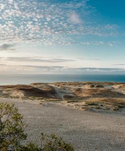 Куршская коса