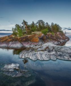 Местный пейзаж