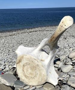 Кольский полуостров