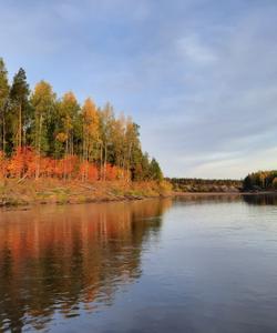 Рыболовный тур в Коми