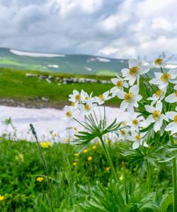 Семейный тур в Адыгею