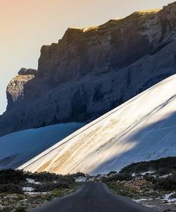 Местный пейзаж