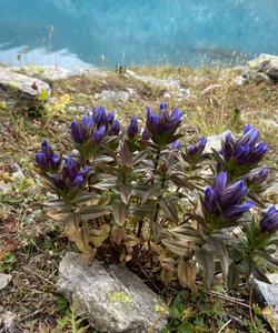 Природа Сочи