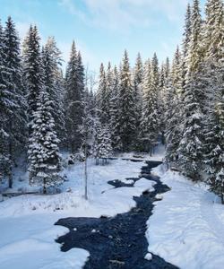 Долина водопадов в Карелии