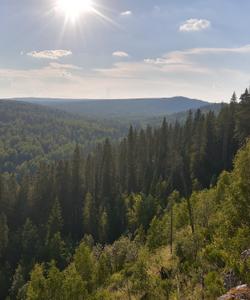 Уральские горы