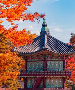 Дворец Кёнбок