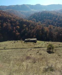 Тавушская область