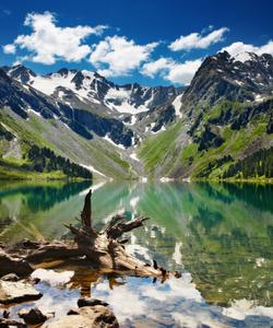 Местные пейзажи 