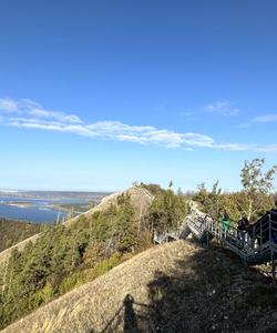 Местные пейзажи