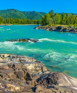 река Катунь