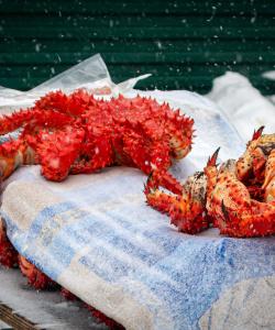 Крабовый рынок на Сахалине