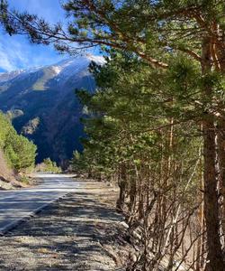 Горный пейзаж