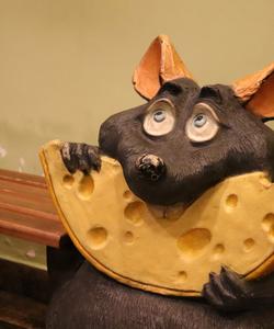 Музей сыра в Костроме