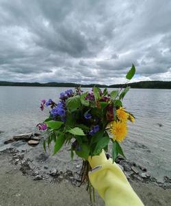 Местный пейзаж