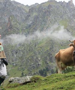 Тур в Приэльбрусье