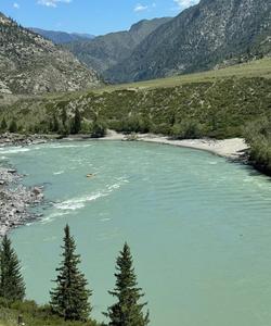 Местный пейзаж