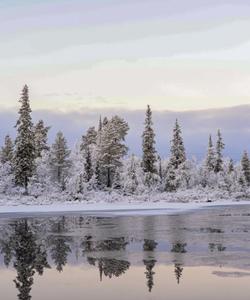 Местный пейзаж