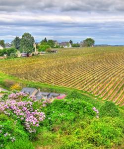 Долина реки Луары