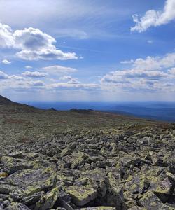 Восхождение на гору Ослянка
