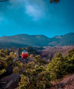 Тур в Алушту