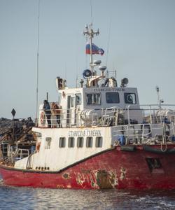 Порт Диксон