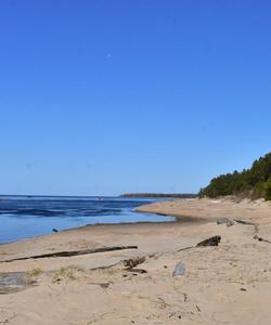 Дюны на берегу Ладоги