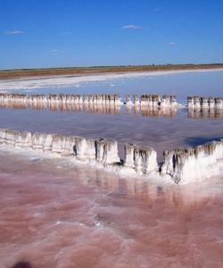 Розовое озеро в Калмыкии
