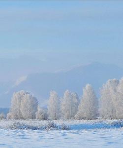 Зимний тур на Алтай