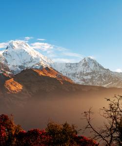 Поход в Тадапани