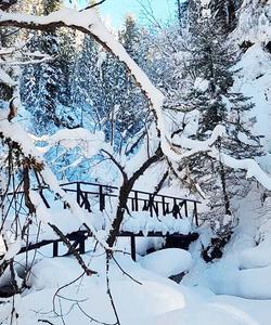 зима на Алтае