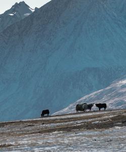 Фототур на Алтай