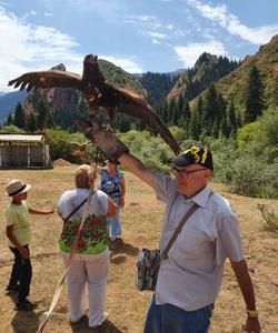 Соколиная охота