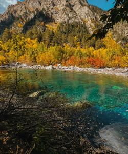 Местный пейзаж