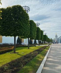 тур в Москву