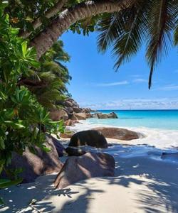 Сейшельские острова