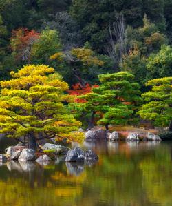 Тур в Киото