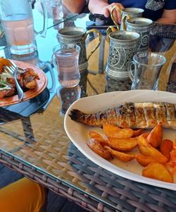 Форелевое хозяйство на Сулакском каньоне