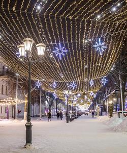 Новогодний тур в Рязань