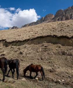 Горный пейзаж