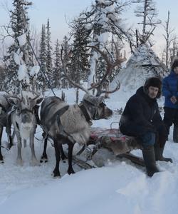 Тур к оленеводам, Ямал