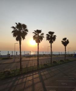 отдых в Сочи