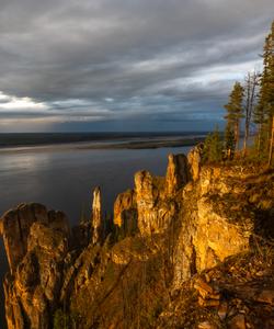 Местный пейзаж