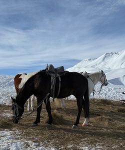 Горный пейзаж