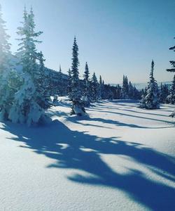 Горнолыжный тур в Каракол