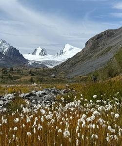Софийский ледник