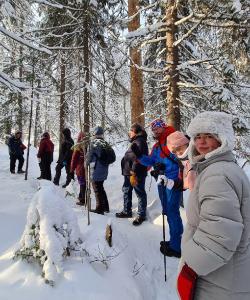 Зимний пейзаж