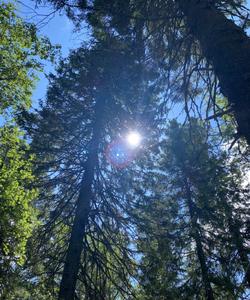 Поход по Уралу