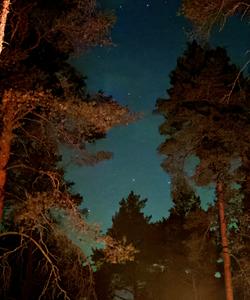 поход в Ленобласти