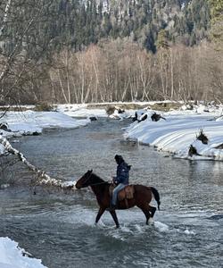 Конная прогулка в Архызе
